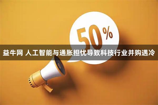 益牛网 人工智能与通胀担忧导致科技行业并购遇冷