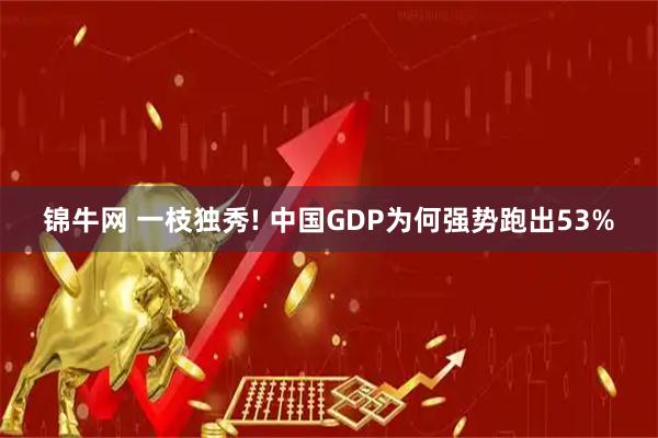 锦牛网 一枝独秀! 中国GDP为何强势跑出53%